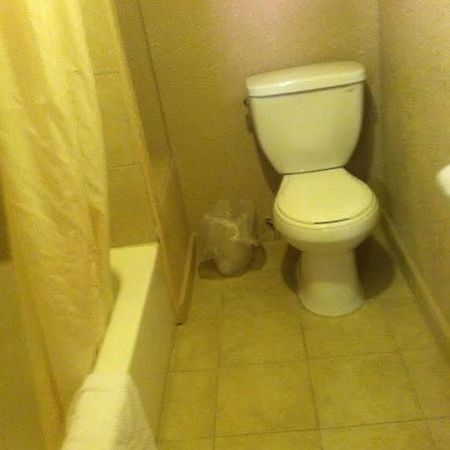 White Mountain Motel Springerville ภายนอก รูปภาพ